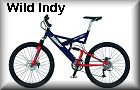 WILD INDY