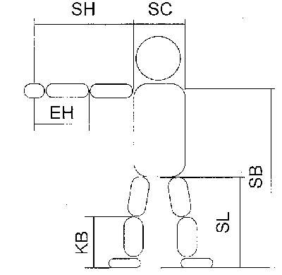 Abb. K&ouml;rperma&szlig;e