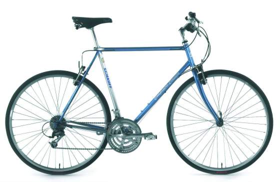 Abb Companero Classico Herren