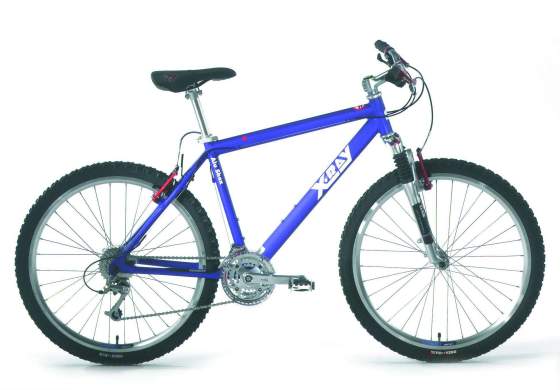 pic X-Ray Hardtail-Shox