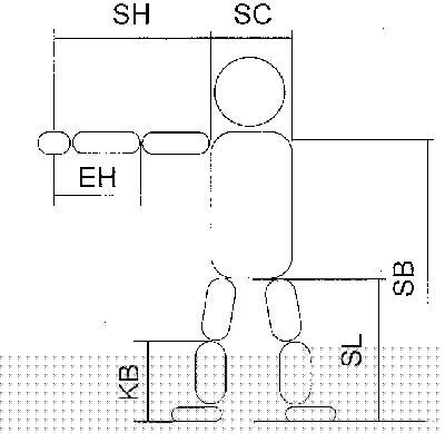 Abb. K&ouml;rperma&szlig;e